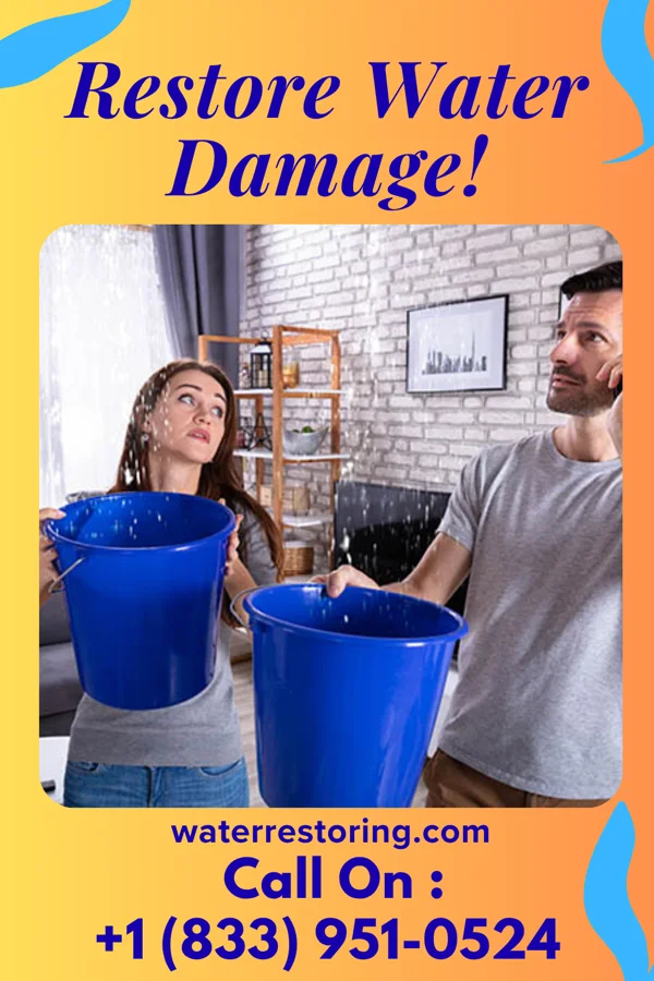 water restoration Precision Disaster Recovery Professionals Blandburg